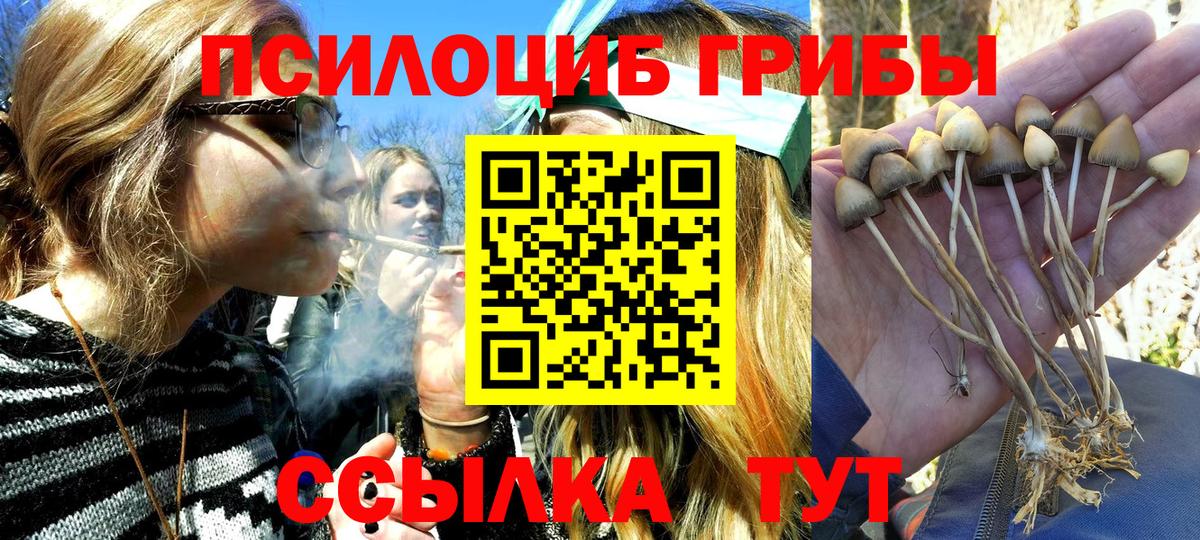 Галлюциногенные грибы мухоморы  Вход с VPN  Баксан 